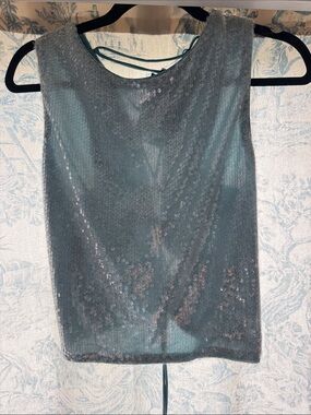 Sequined Sleeveless Top - Teal tiger mist crop top